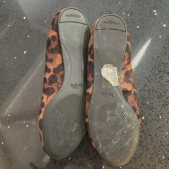 EUC Coach Cheetah Flats - Picture 4 of 7